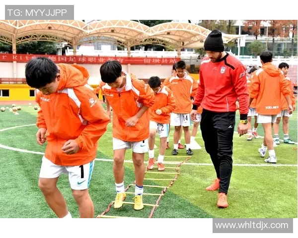 杨静独家分享篮球心得与技巧助你提升球技和战术理解 杨静独家分享篮球心得与技巧助你提升球技和战术理解