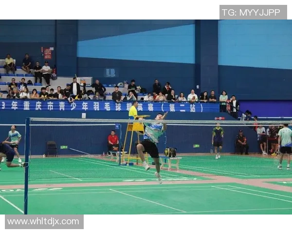 重庆羽毛球队在精英赛中的灵活性表现分析与总结 重庆羽毛球队在精英赛中的灵活性表现分析与总结