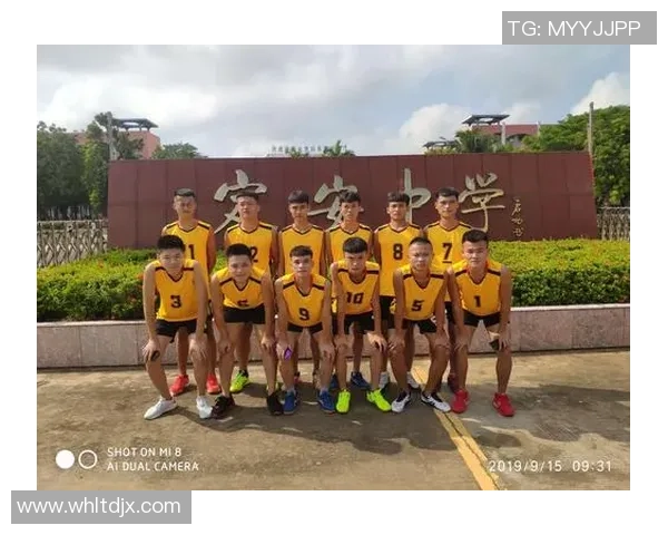 上海排球队的拼搏之路精英赛背后的奋斗与荣耀