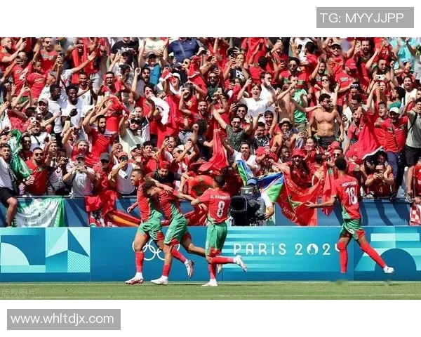 阿根廷足球明星数量揭秘他们在国际舞台上的辉煌成就与影响力