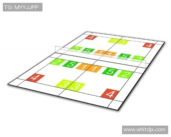 西安羽毛球队的战术演变与转换体系解析