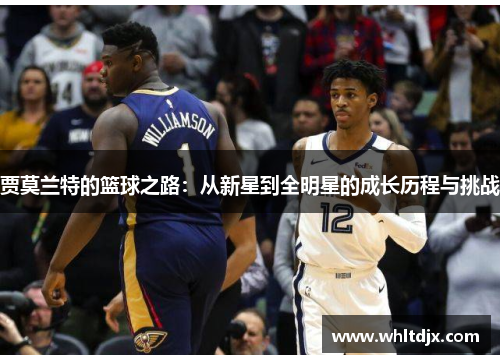 贾莫兰特的篮球之路：从新星到全明星的成长历程与挑战
